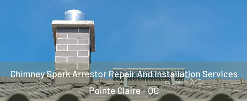  Chimney Spark Arrestor Repair And Installation Services Pointe Claire - QC