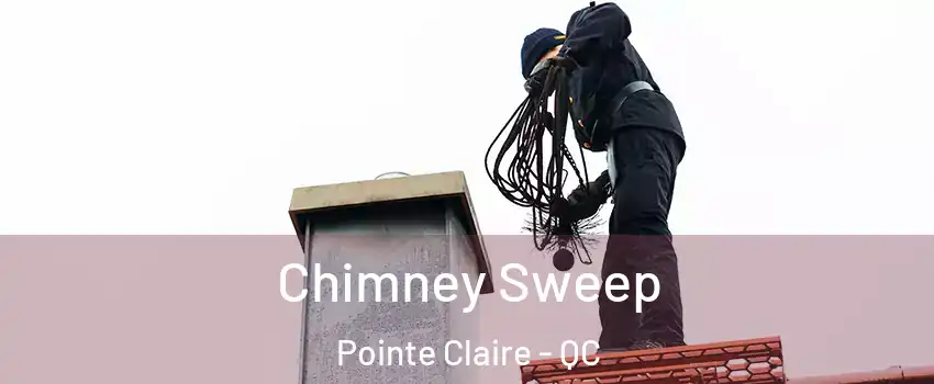  Chimney Sweep Pointe Claire - QC