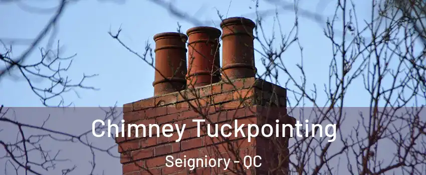  Chimney Tuckpointing Seigniory - QC
