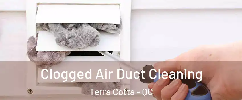  Clogged Air Duct Cleaning Terra Cotta - QC