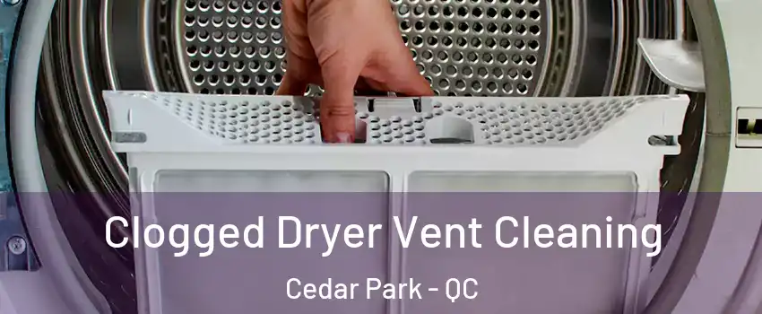  Clogged Dryer Vent Cleaning Cedar Park - QC