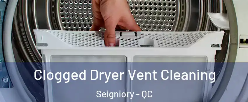  Clogged Dryer Vent Cleaning Seigniory - QC