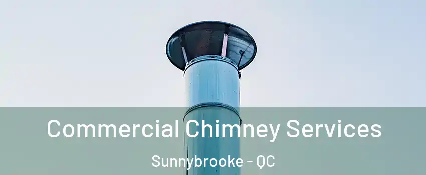  Commercial Chimney Services Sunnybrooke - QC