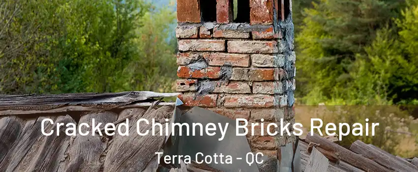  Cracked Chimney Bricks Repair Terra Cotta - QC