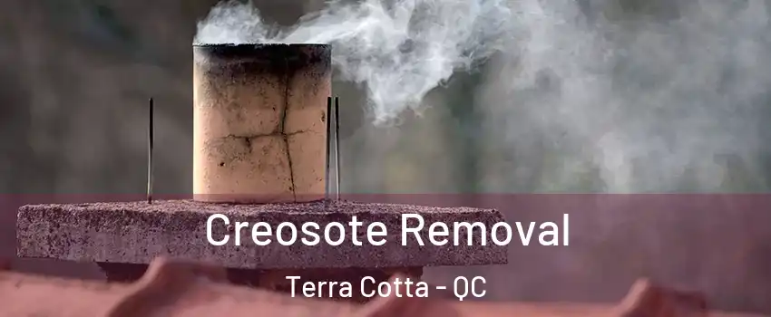  Creosote Removal Terra Cotta - QC