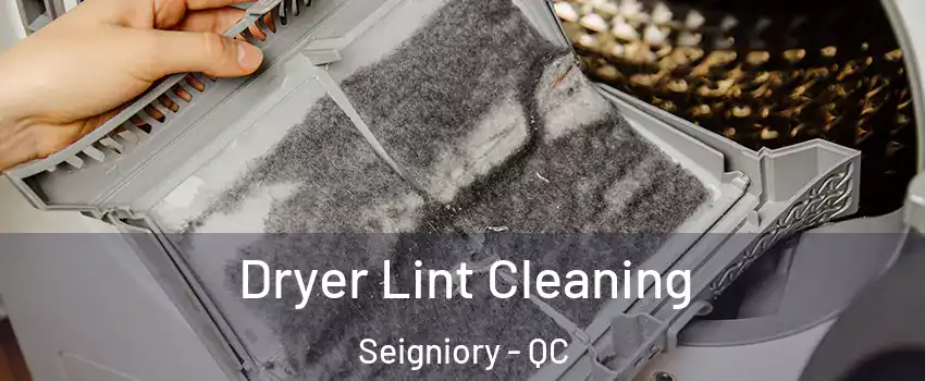  Dryer Lint Cleaning Seigniory - QC