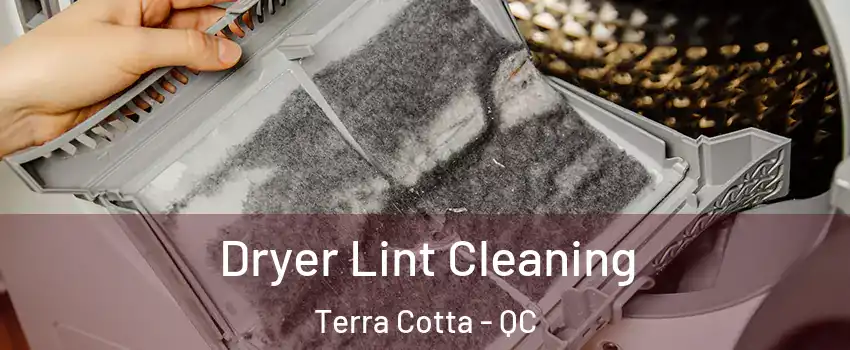  Dryer Lint Cleaning Terra Cotta - QC