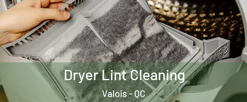  Dryer Lint Cleaning Valois - QC