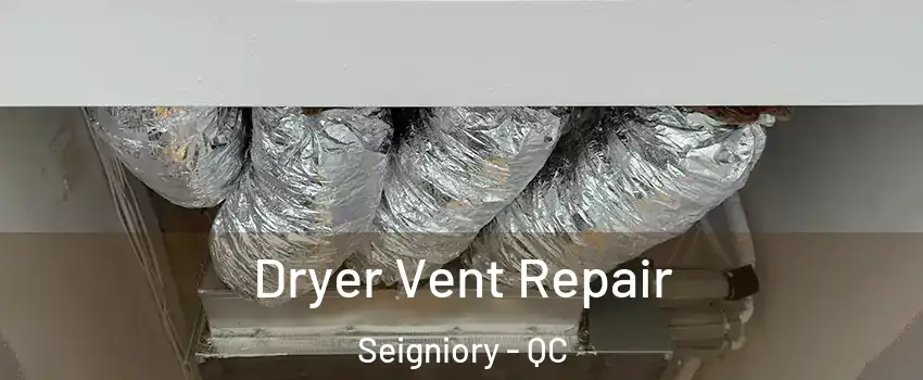  Dryer Vent Repair Seigniory - QC
