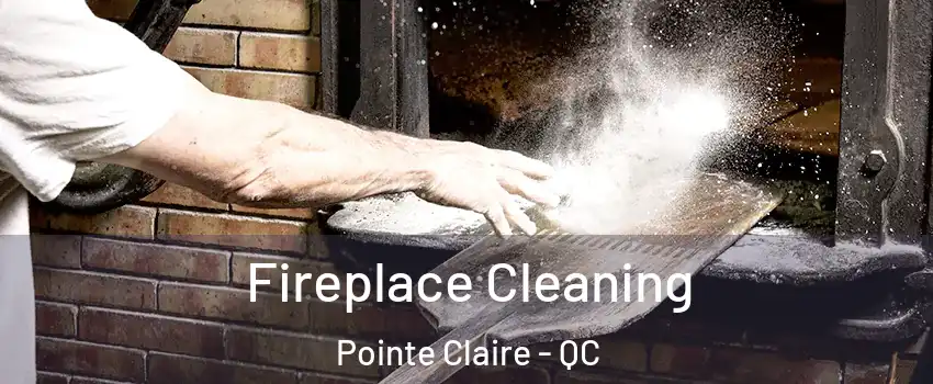  Fireplace Cleaning Pointe Claire - QC