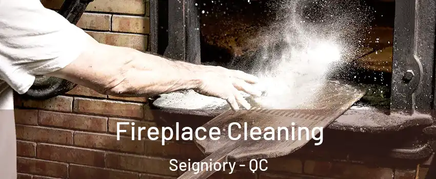  Fireplace Cleaning Seigniory - QC