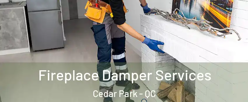  Fireplace Damper Services Cedar Park - QC