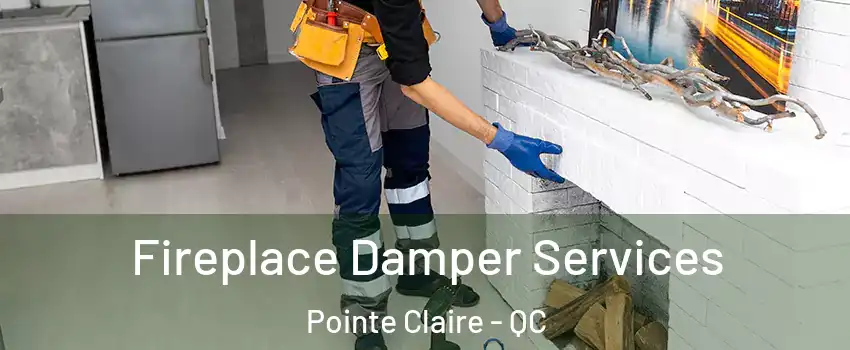  Fireplace Damper Services Pointe Claire - QC