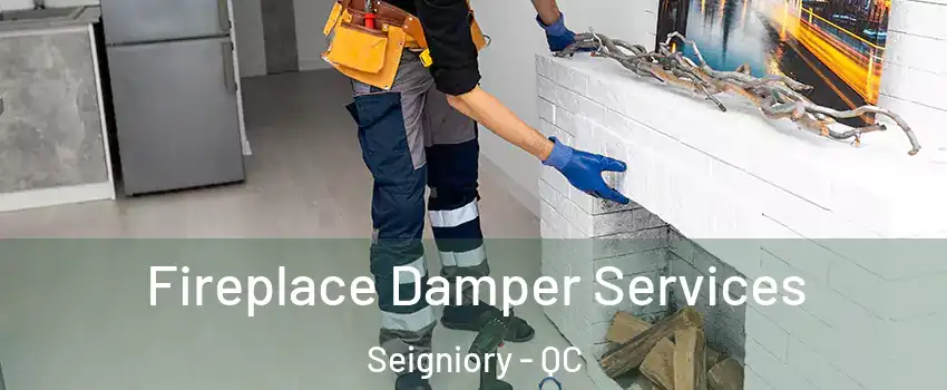  Fireplace Damper Services Seigniory - QC