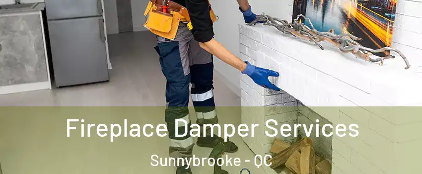  Fireplace Damper Services Sunnybrooke - QC