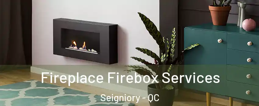  Fireplace Firebox Services Seigniory - QC