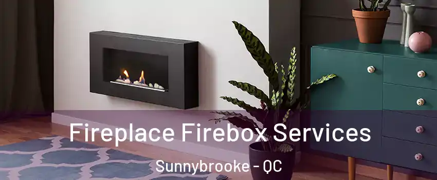  Fireplace Firebox Services Sunnybrooke - QC