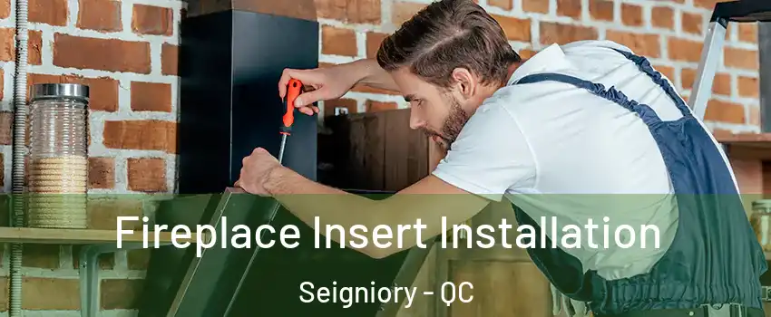  Fireplace Insert Installation Seigniory - QC