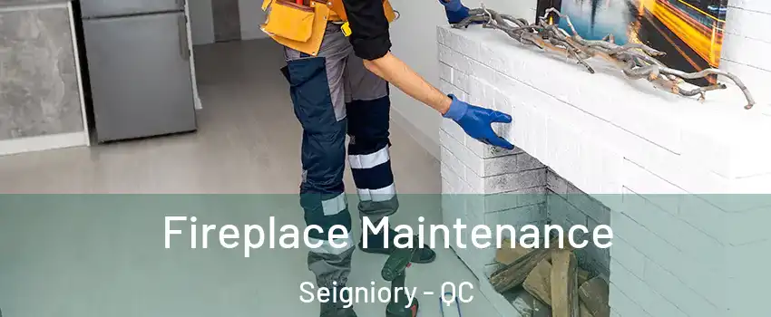  Fireplace Maintenance Seigniory - QC