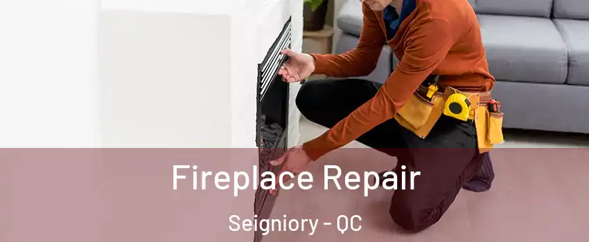  Fireplace Repair Seigniory - QC