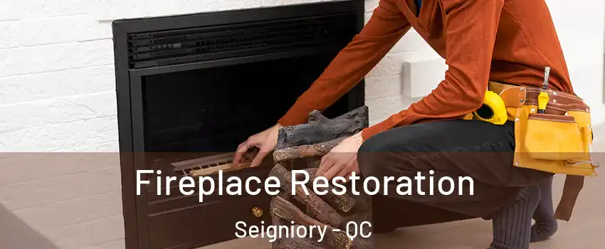  Fireplace Restoration Seigniory - QC
