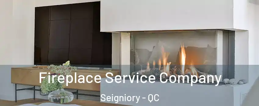  Fireplace Service Company Seigniory - QC