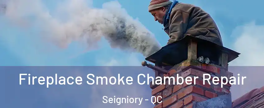  Fireplace Smoke Chamber Repair Seigniory - QC