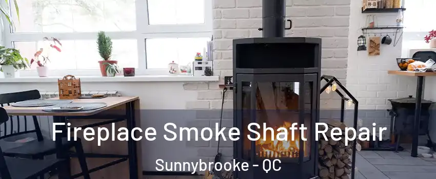  Fireplace Smoke Shaft Repair Sunnybrooke - QC