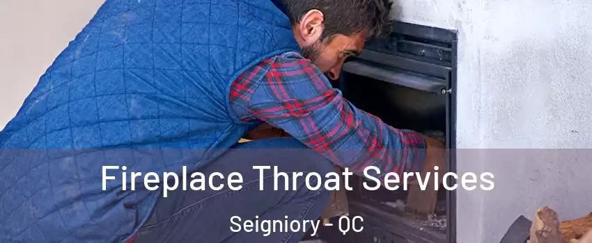 Fireplace Throat Services Seigniory - QC