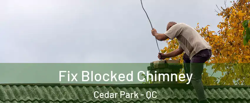 Fix Blocked Chimney Cedar Park - QC
