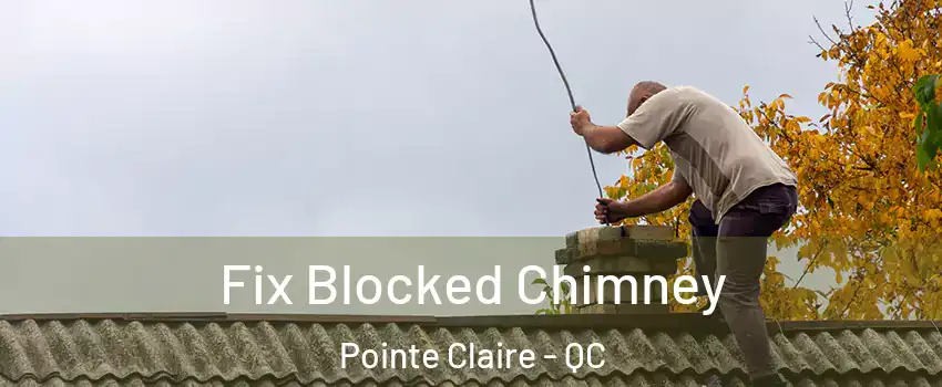  Fix Blocked Chimney Pointe Claire - QC