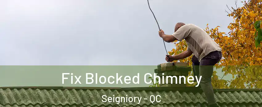  Fix Blocked Chimney Seigniory - QC