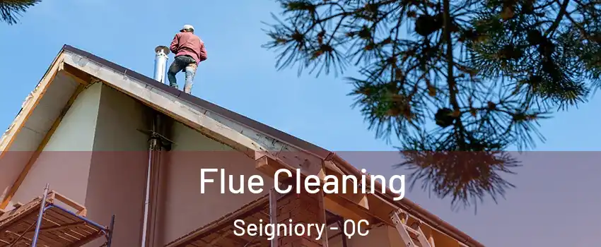  Flue Cleaning Seigniory - QC