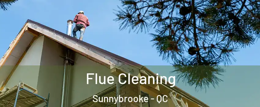  Flue Cleaning Sunnybrooke - QC