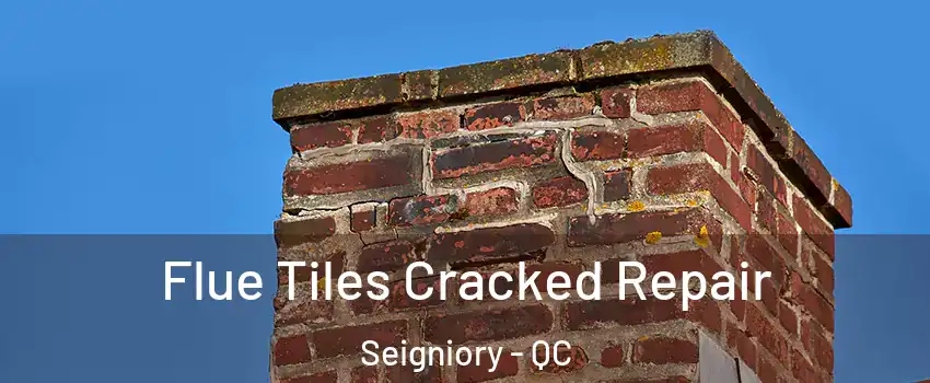  Flue Tiles Cracked Repair Seigniory - QC