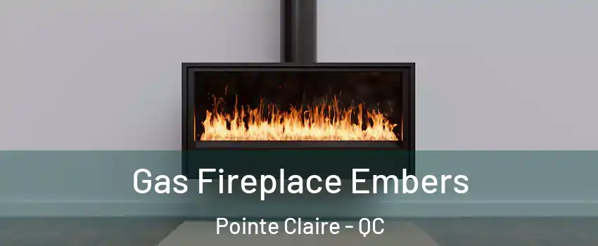  Gas Fireplace Embers Pointe Claire - QC
