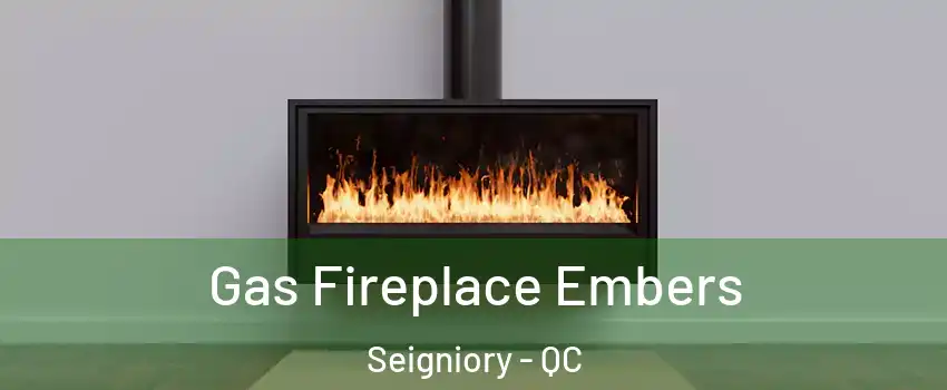  Gas Fireplace Embers Seigniory - QC