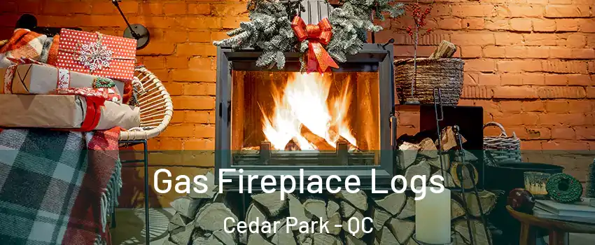 Gas Fireplace Logs Cedar Park - QC