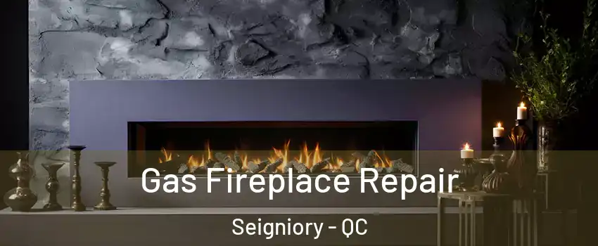  Gas Fireplace Repair Seigniory - QC