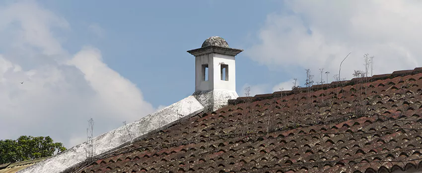 Wind-Resistant Chimney Caps Installation and Repair Services in Lakeview, Quebec
