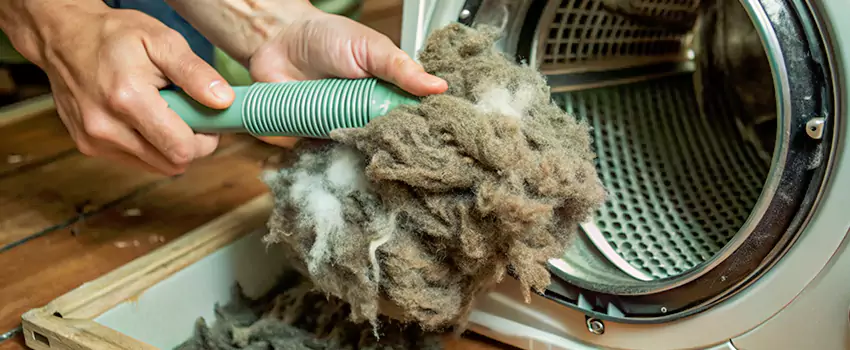 Best Dryer Lint Removal Company in Lakeview, Quebec