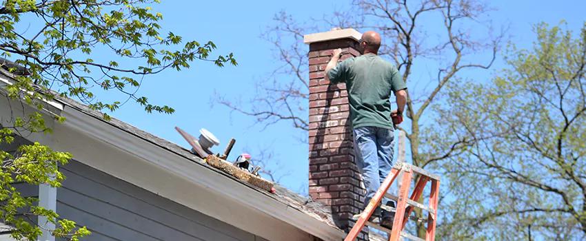 Chimney And Flue Brush Cleaning in Lakeview, Quebec
