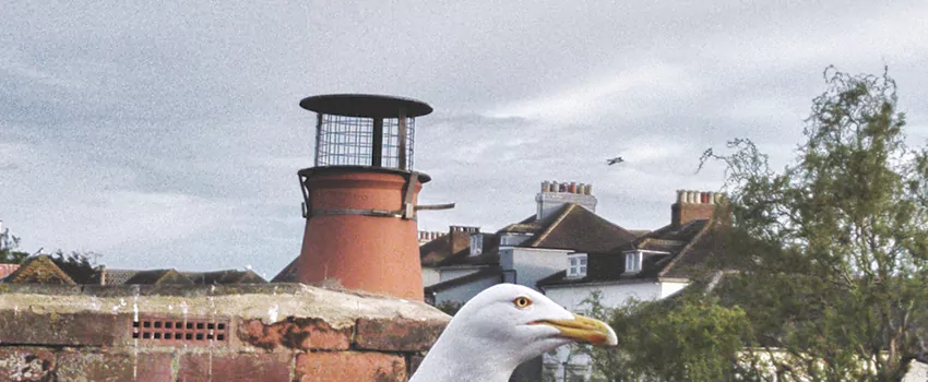 Chimney Cap Bird Guard Repair in Lakeview, Quebec