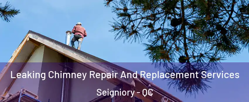  Leaking Chimney Repair And Replacement Services Seigniory - QC