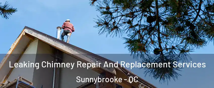  Leaking Chimney Repair And Replacement Services Sunnybrooke - QC