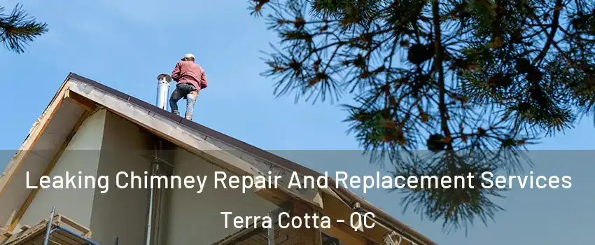  Leaking Chimney Repair And Replacement Services Terra Cotta - QC