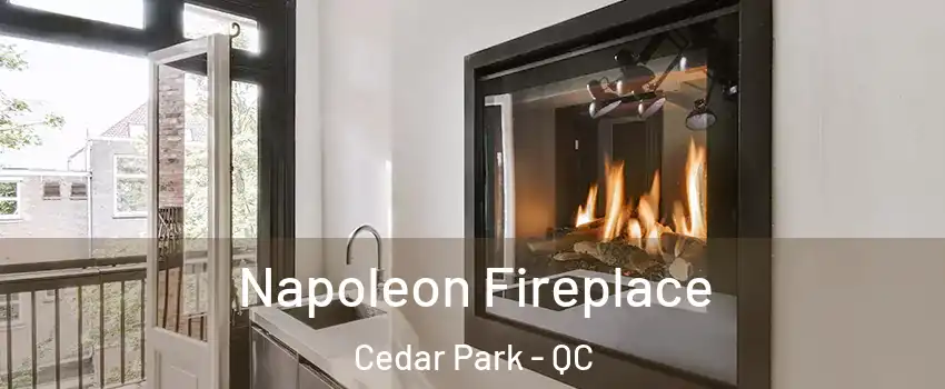  Napoleon Fireplace Cedar Park - QC
