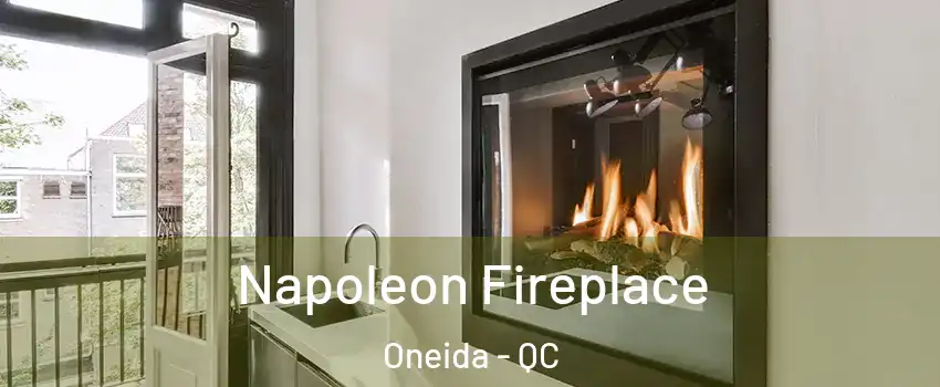  Napoleon Fireplace Oneida - QC