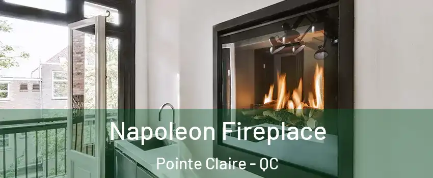  Napoleon Fireplace Pointe Claire - QC