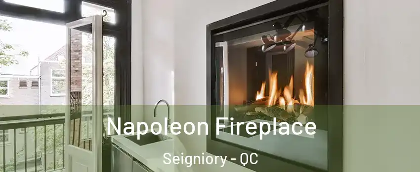  Napoleon Fireplace Seigniory - QC